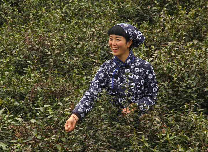 牡丹tv直播765 banner